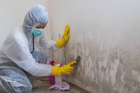 Best Mold Remediation for Healthcare Facilities  in Oronoque, CT